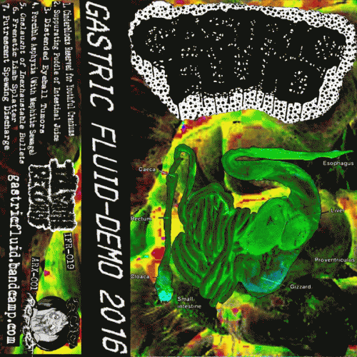 Gastric Fluid : Demo 2016